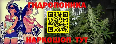 a pvp Пушкино