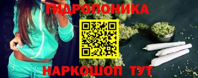 крисы Пыть-Ях