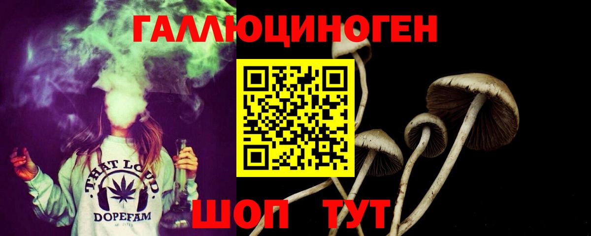 Галлюциногенные грибы мицелий  Псилоцибиновые грибы мухоморы  купить наркотик  Вход с VPN  Семилуки 
